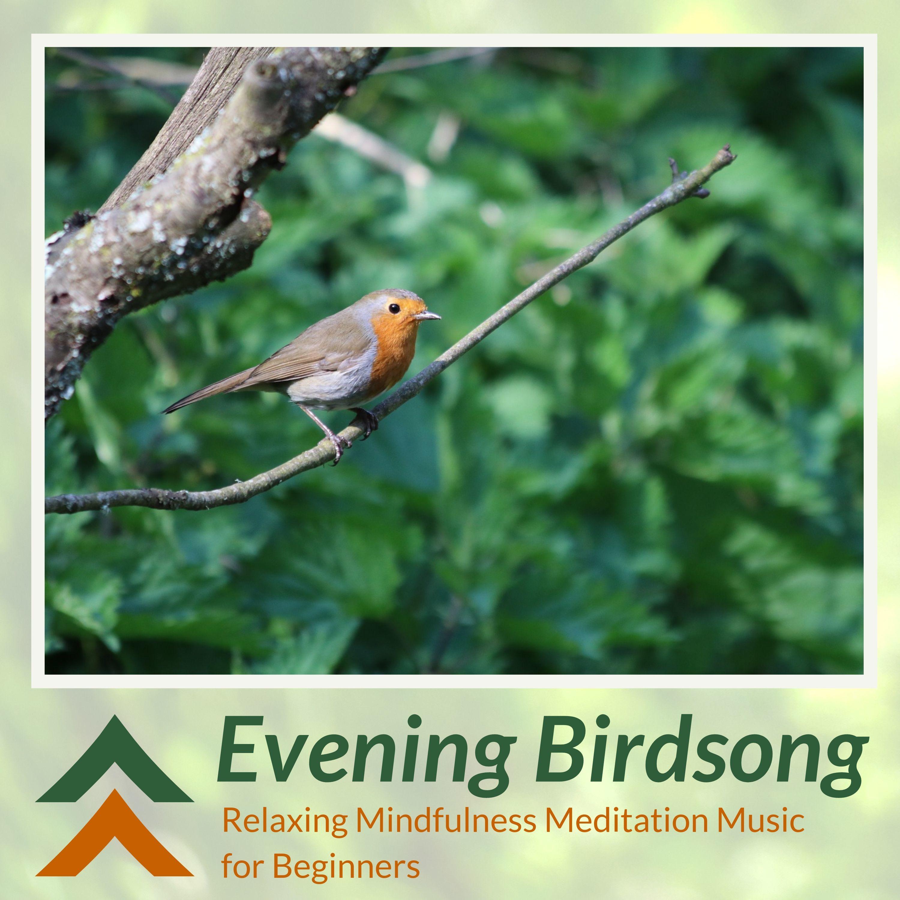 Evening Birdsong - Relaxing Mindfulness Meditation Music for Beginners