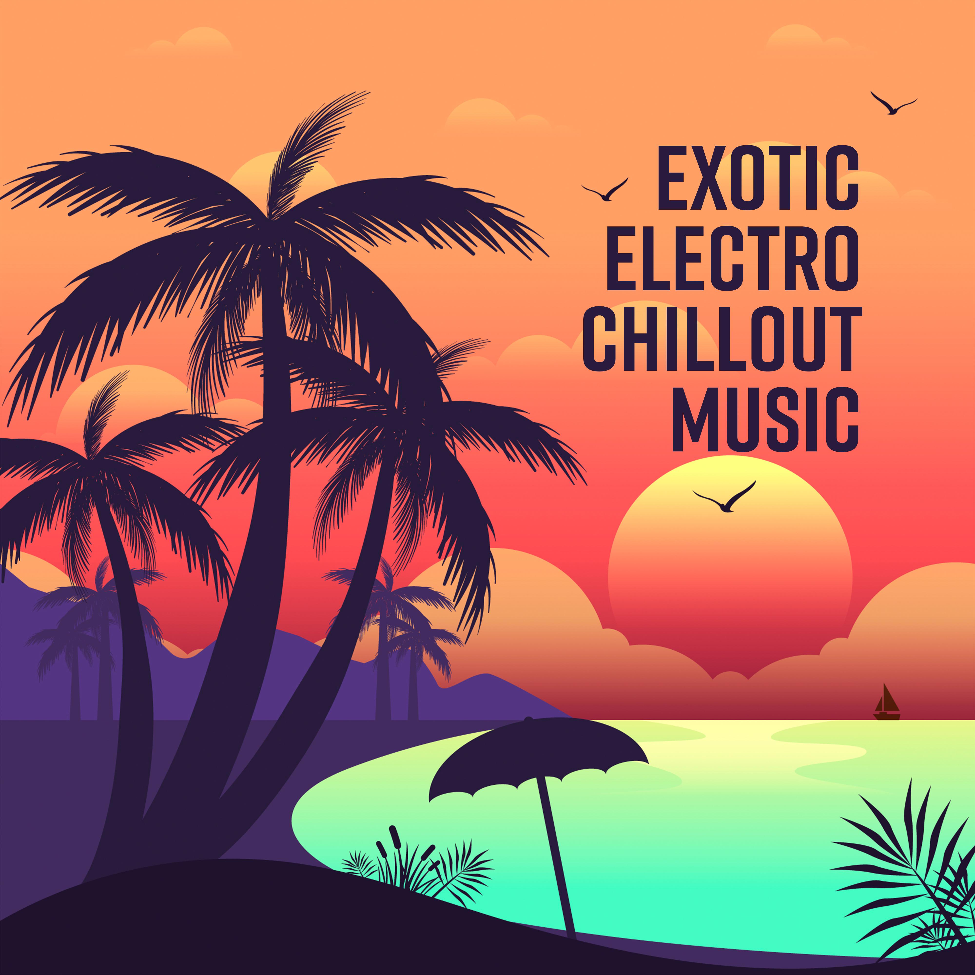 Exotic Chill
