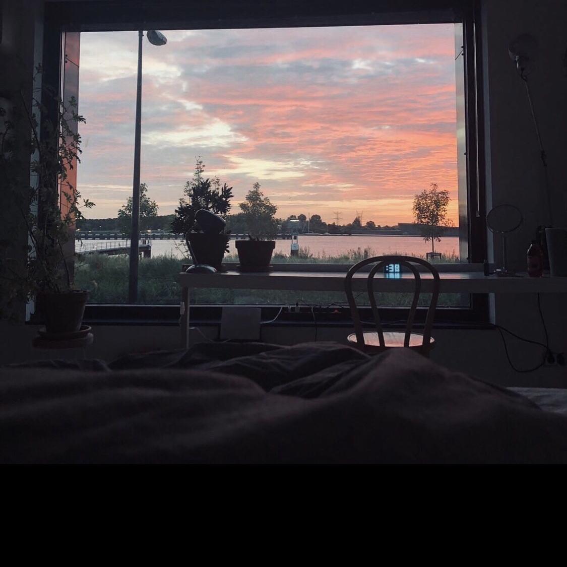 cheng li de yue guang tan chang live