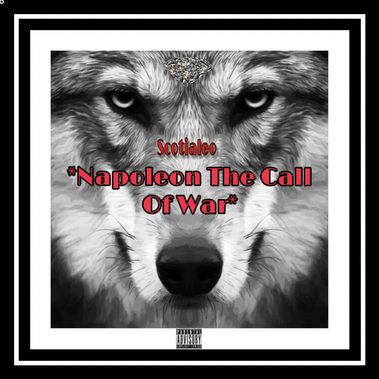 Napoleon The Call Of War