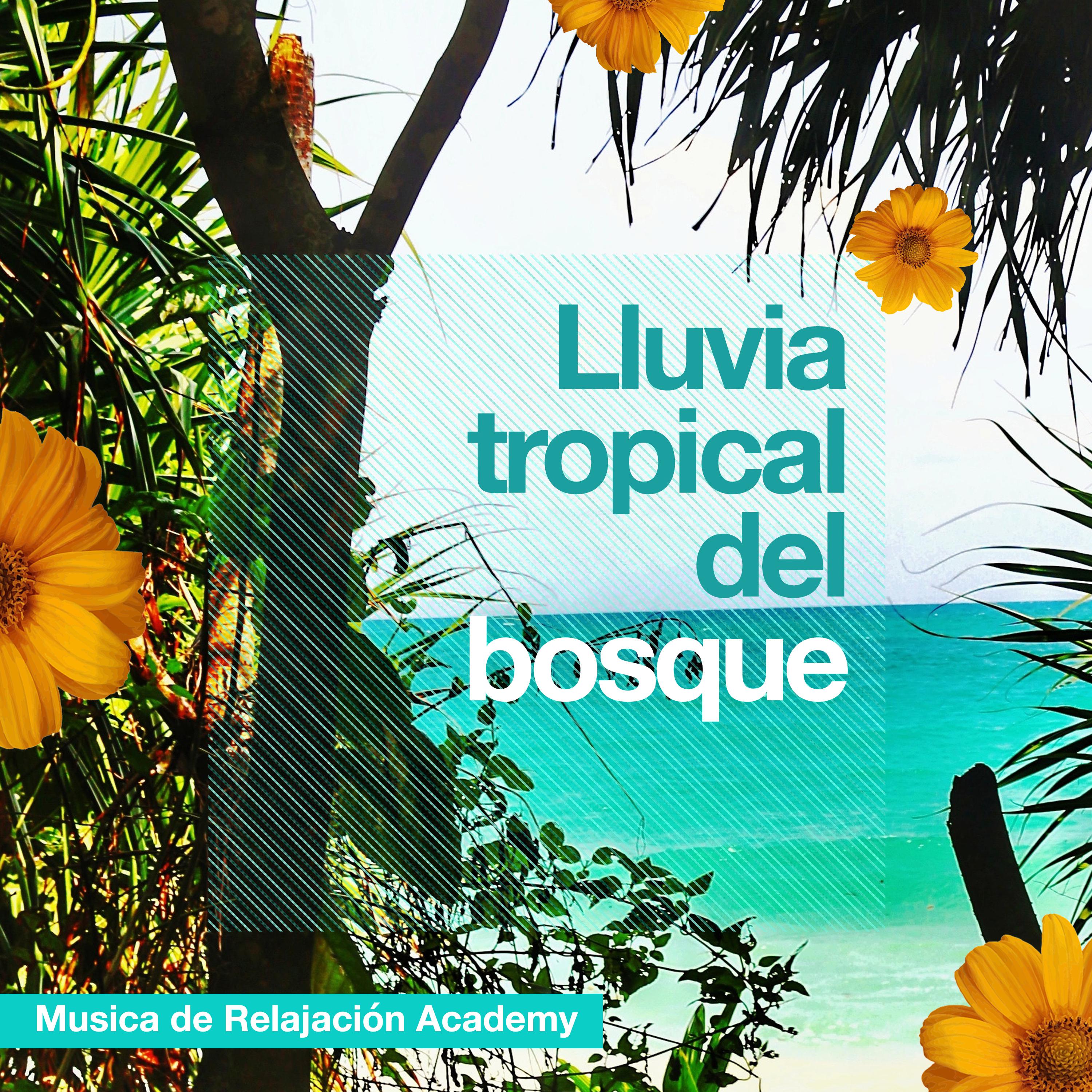Lluvia tropical del bosque