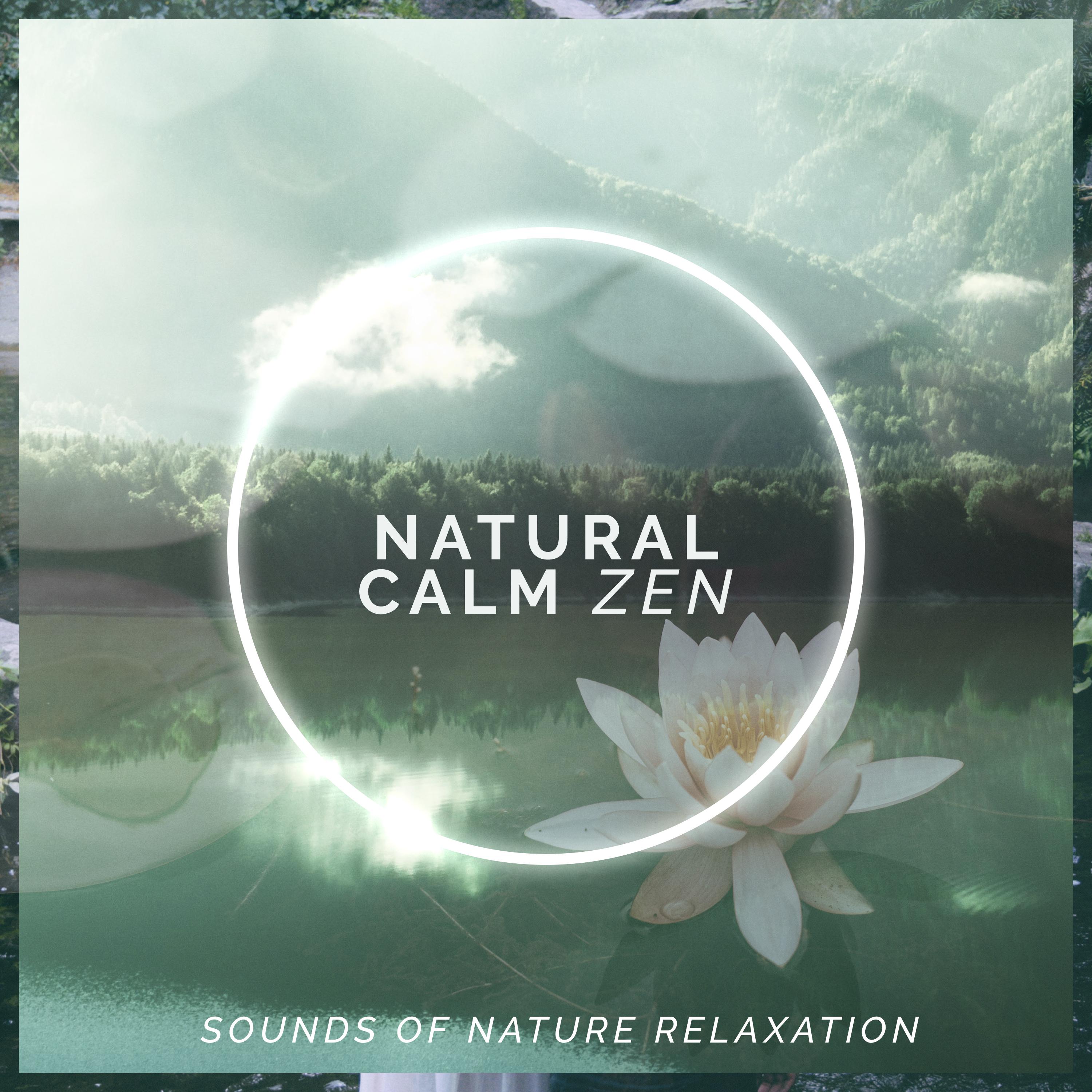 Natural Calm Zen
