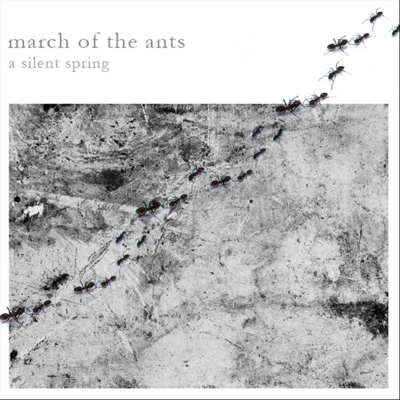 March Of The Ants