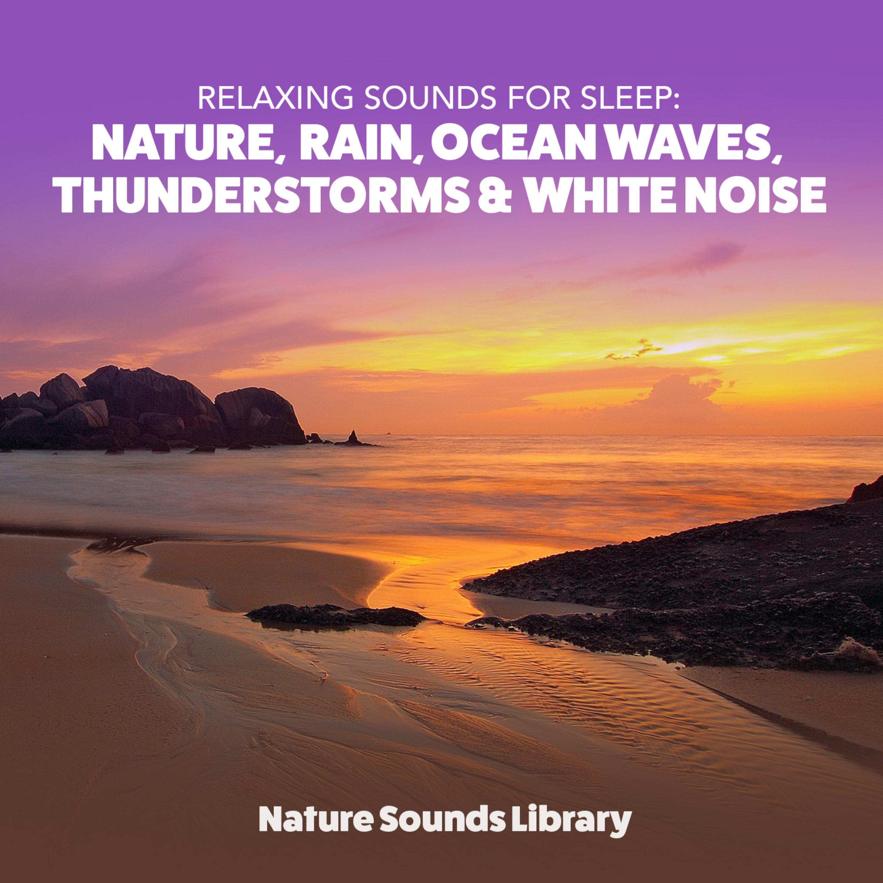 Relaxing Sounds for Sleep: Nature, Rain, Ocean Waves, Thunderstorms & White Noise