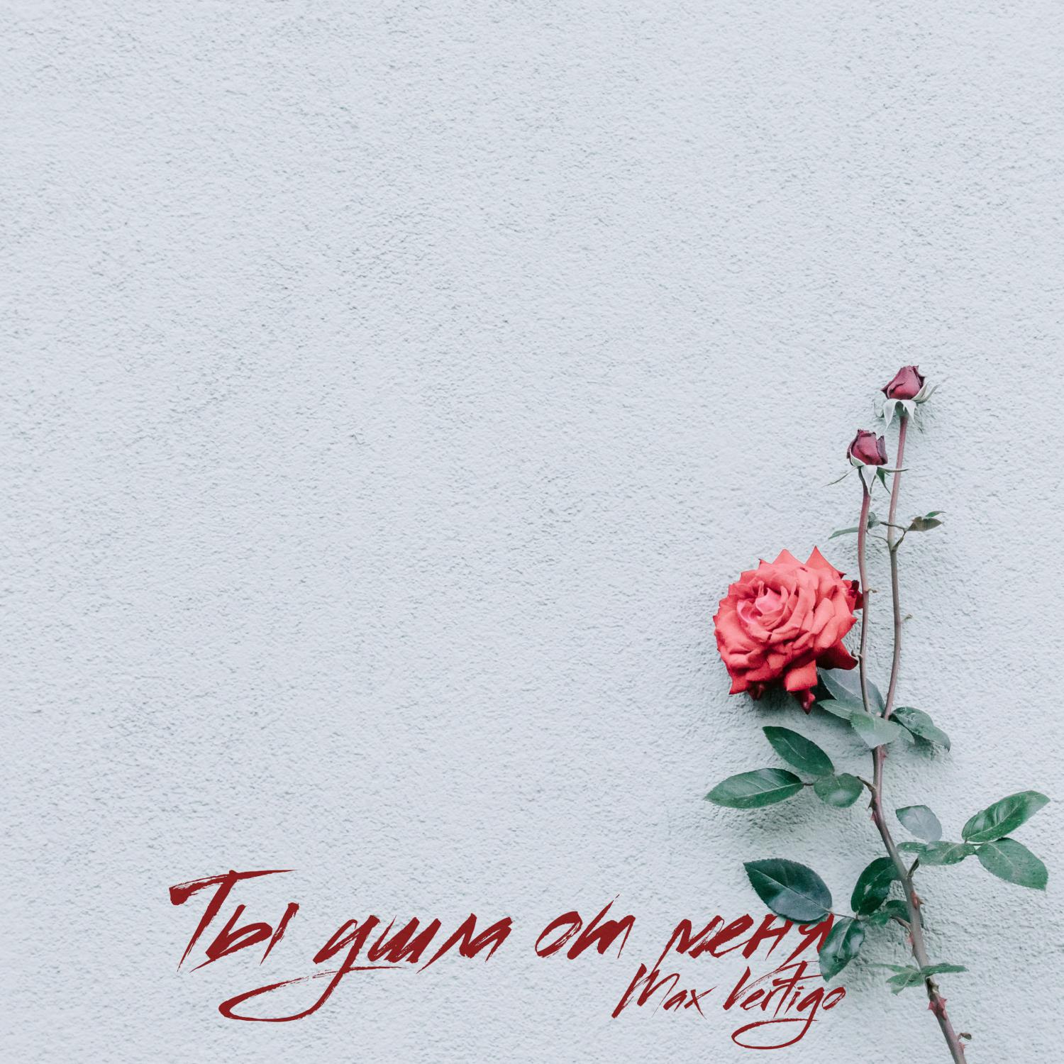 Для тебя картинки. Eto vam cvetochki. Ее от меня. Цветы с надписью подруги. Ее от меня.