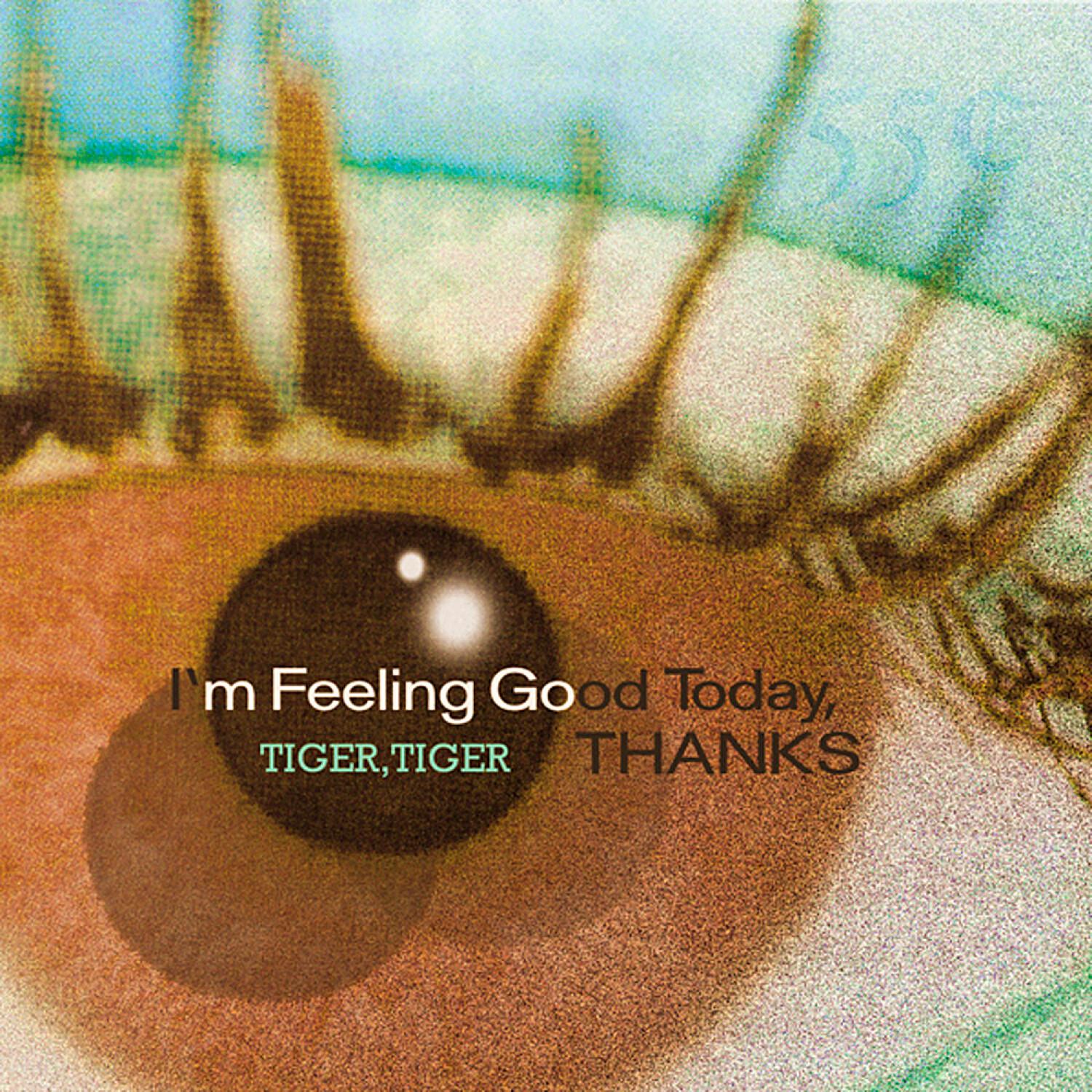 You're Pitiful, I Am