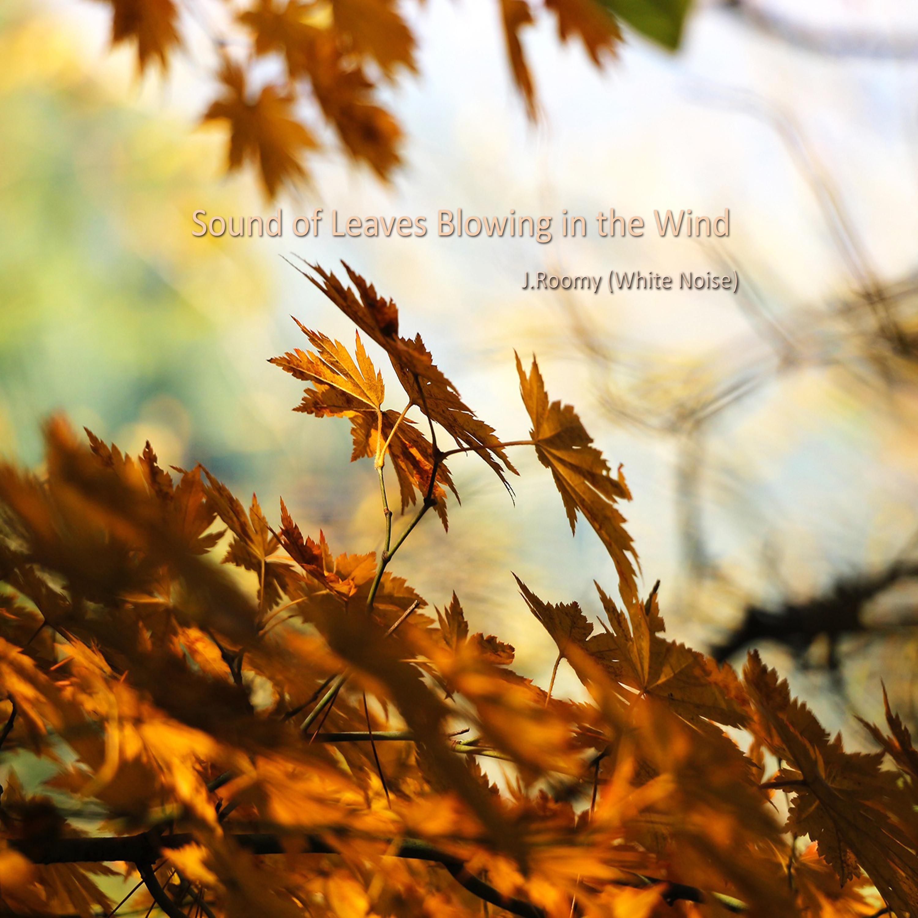 Sound of Leaves Blowing in the Wind