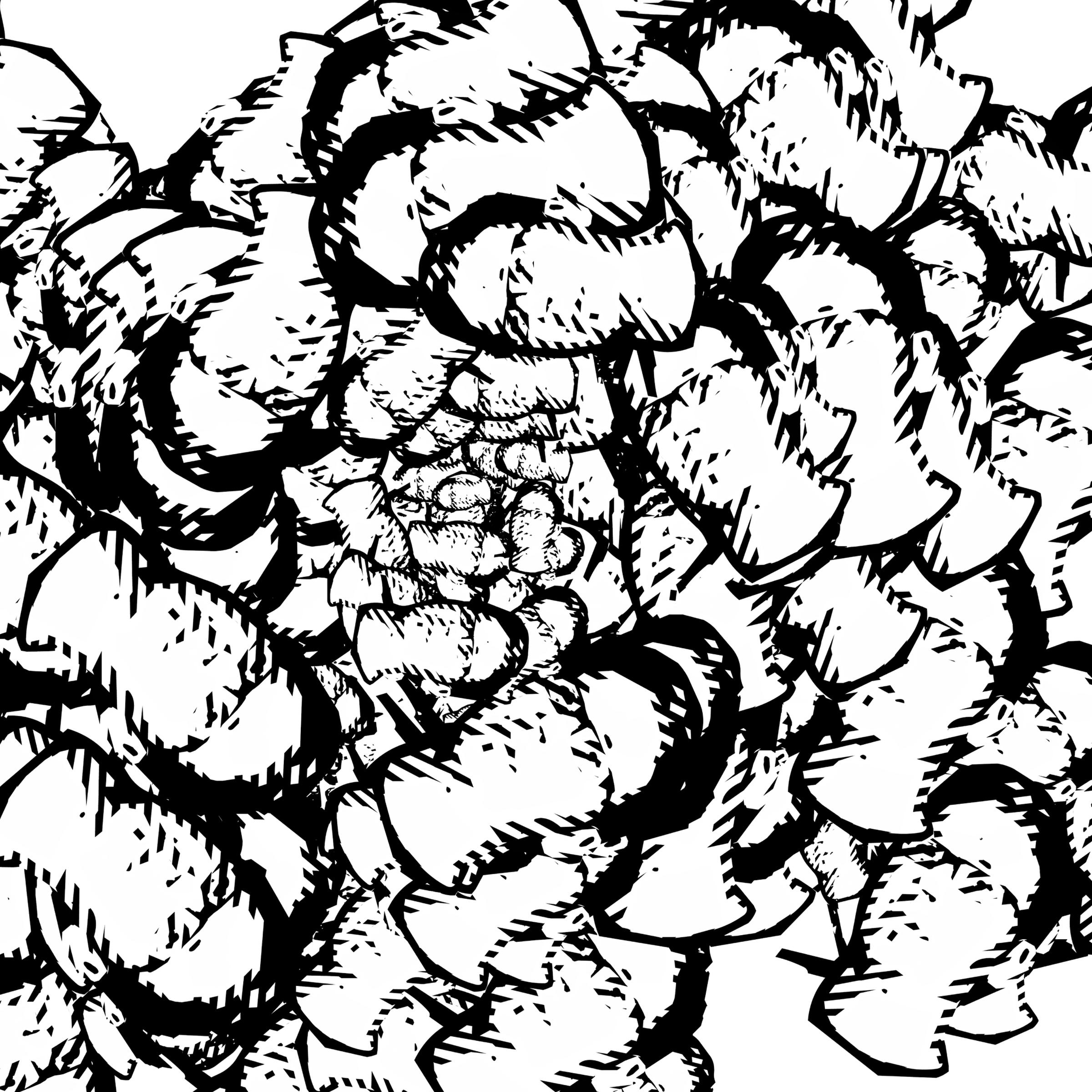 This Side Of The Moog