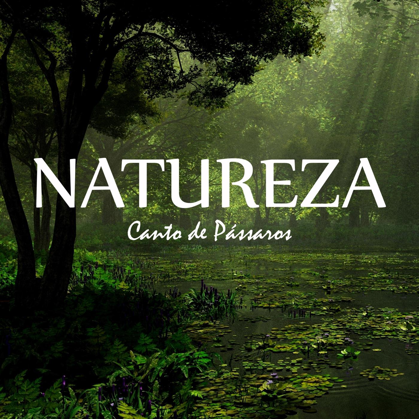 Natureza: Canto de Pa ssaros, Pt. 13