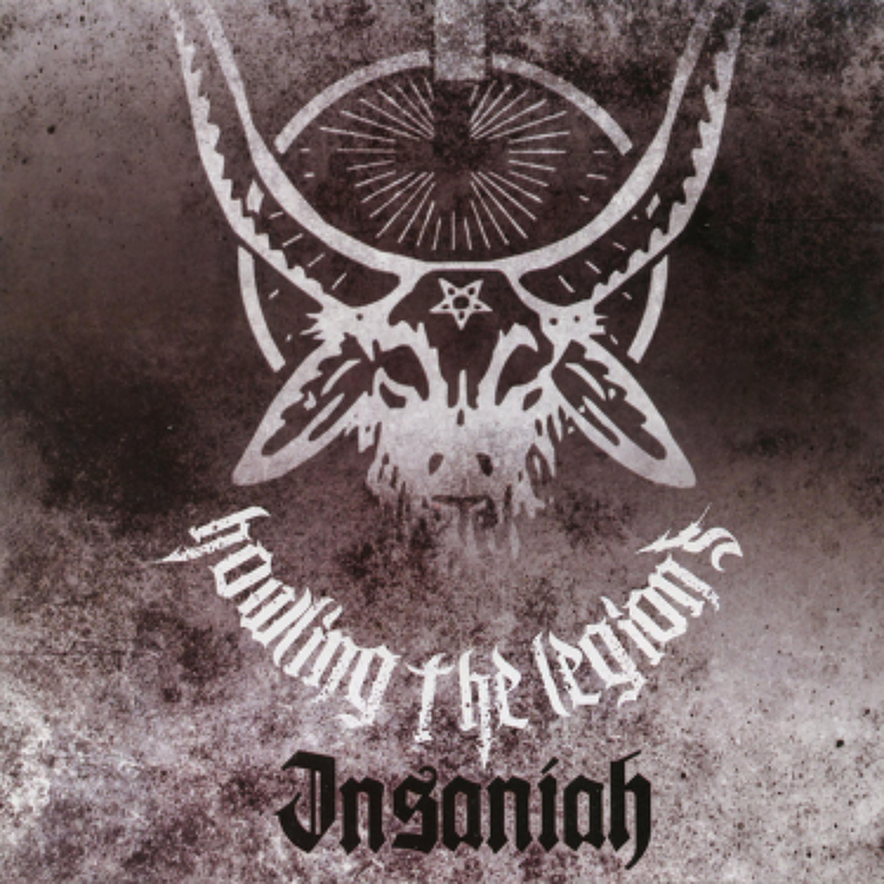 Bad Job Look at the Gun