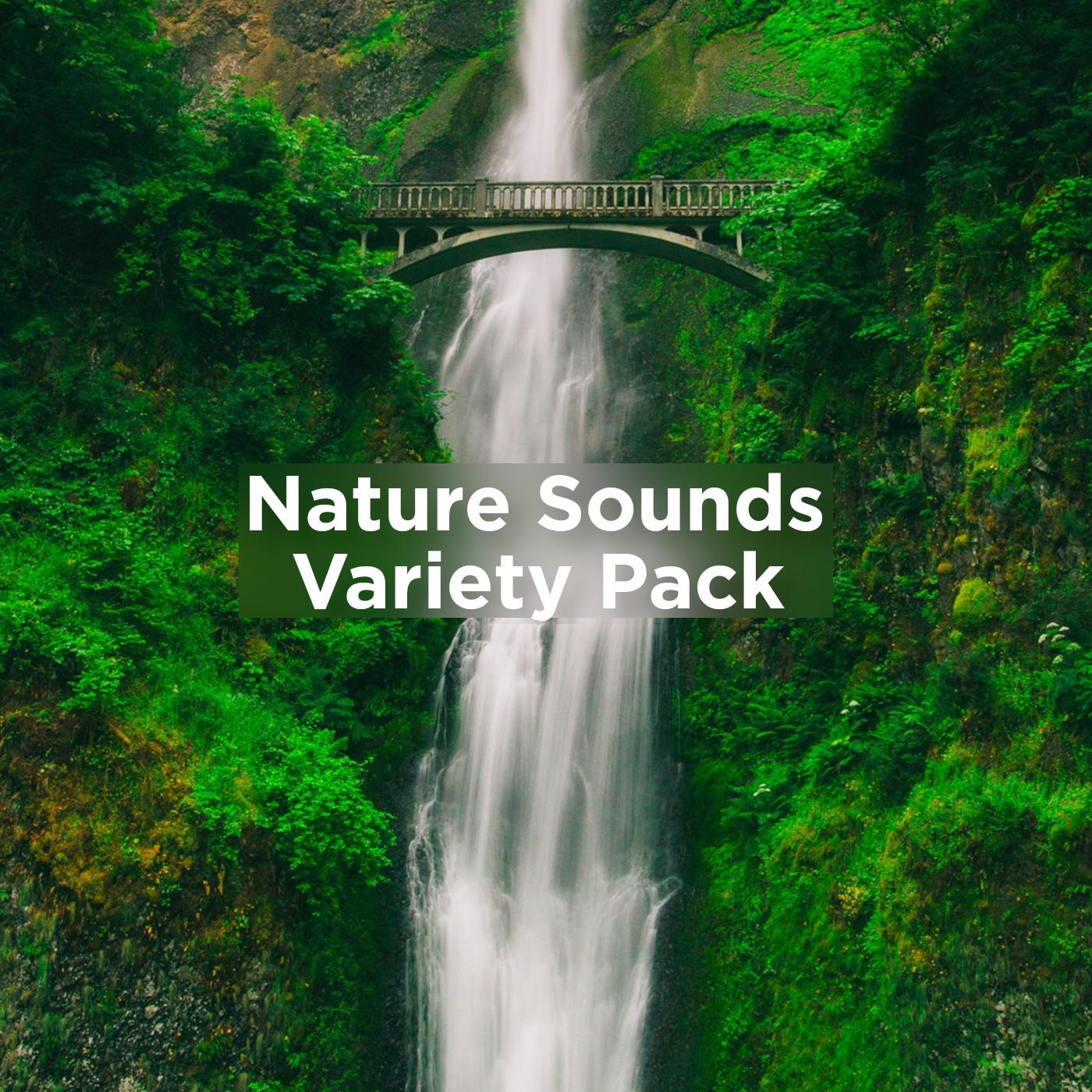 Nature Sounds Variety Pack 1