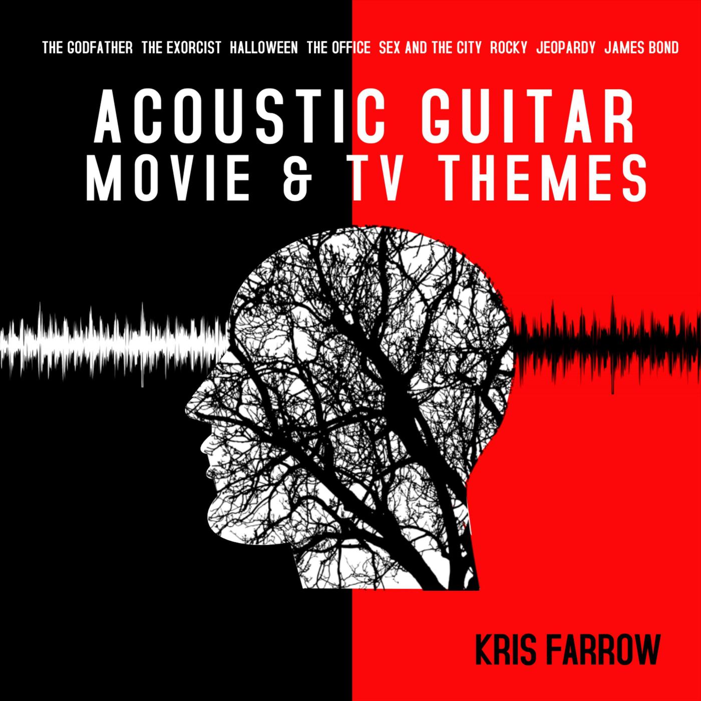Acoustic Guitar Movie & TV Themes
