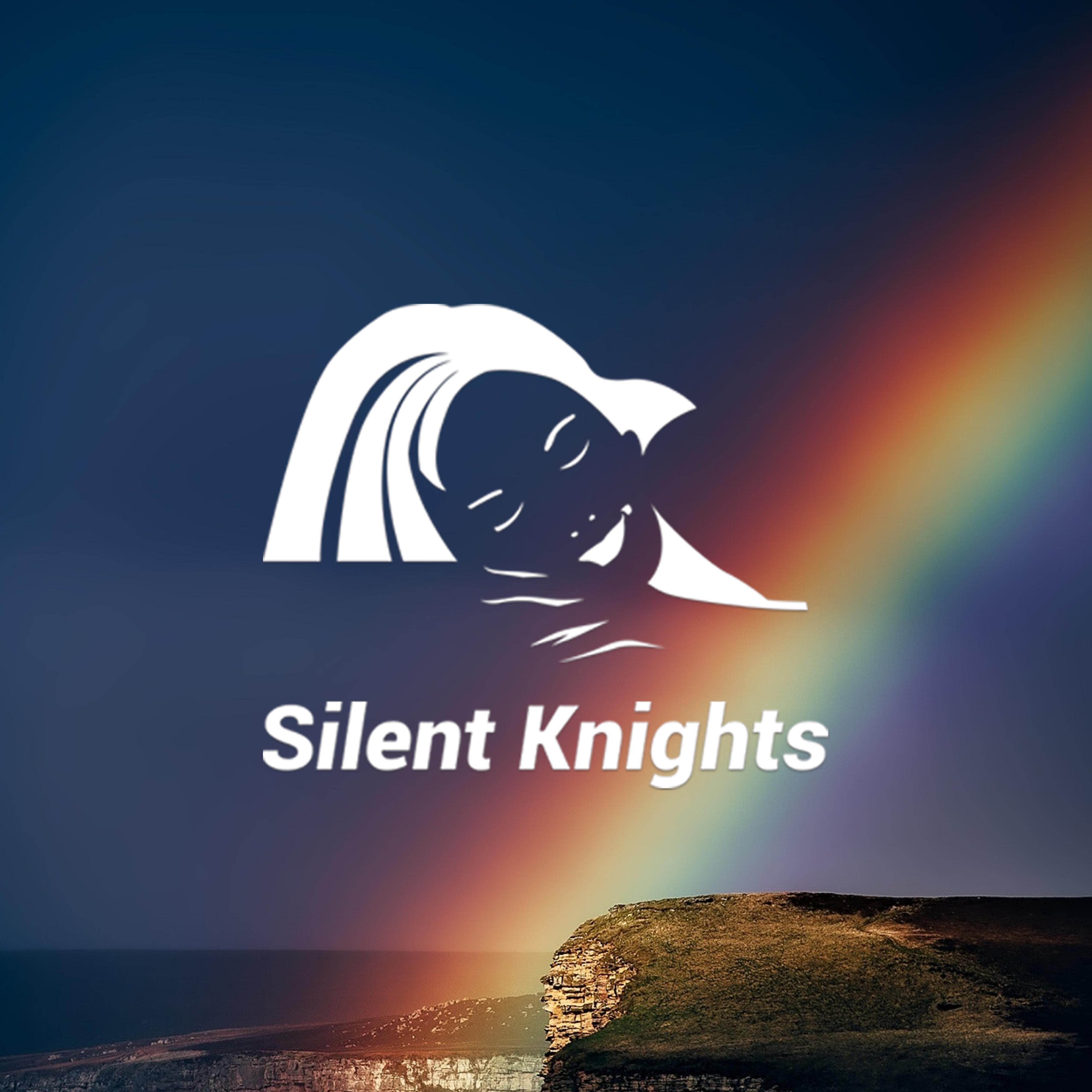 Rainy Rainbow Window