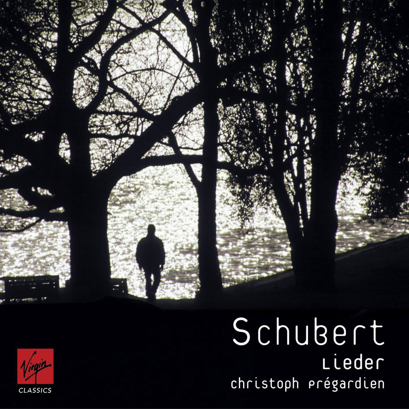 Der Wanderer an den Mond D870