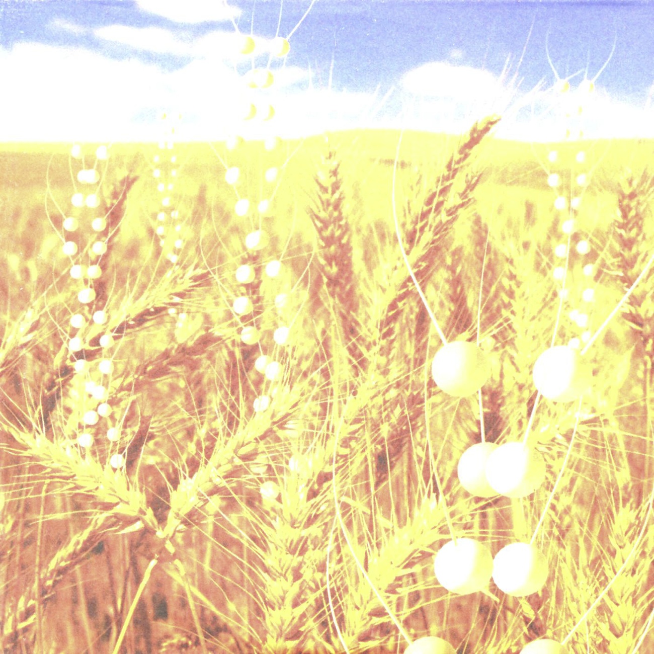 Love Can Damage Your Health