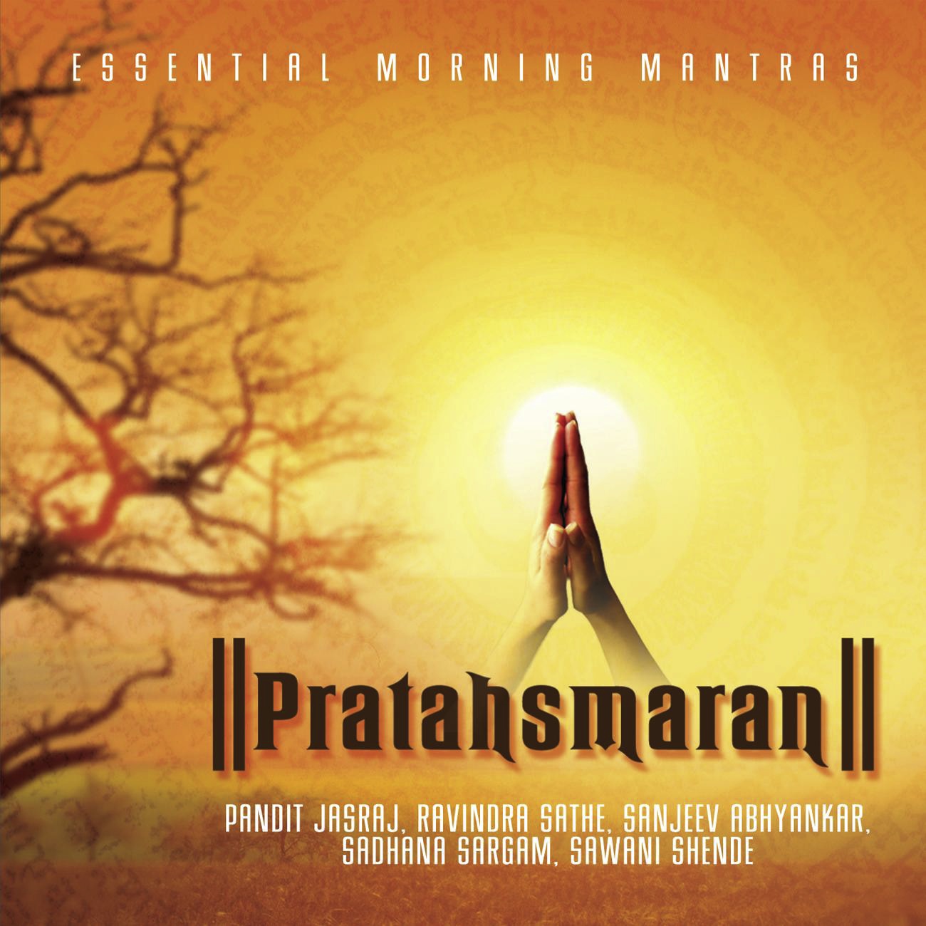 Vakratunda Mahakaaya