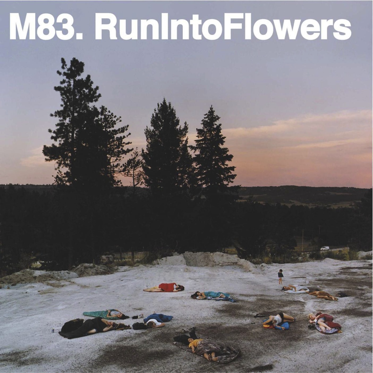 Run Into Flowers (KG Remix)