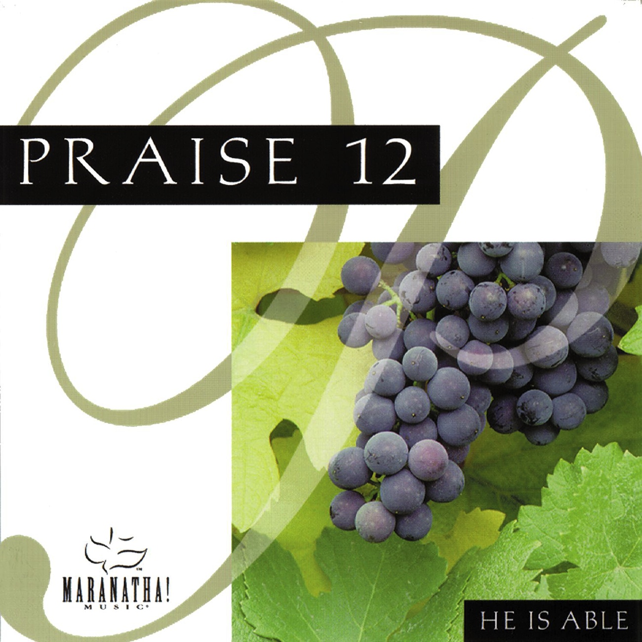 He Is Able (Instrumental)