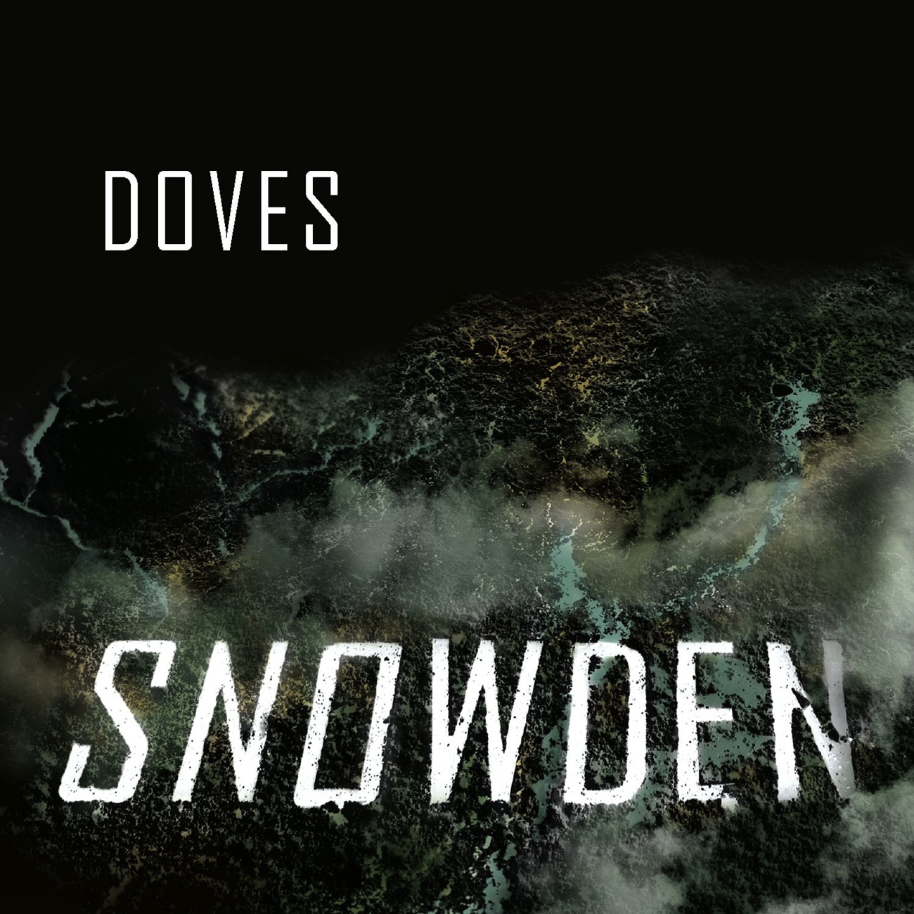 Snowden (Rich Costey Mix)