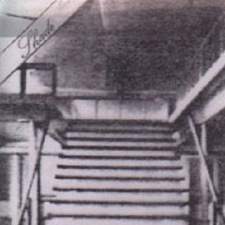 SEARCH FOR REASON (demo version)