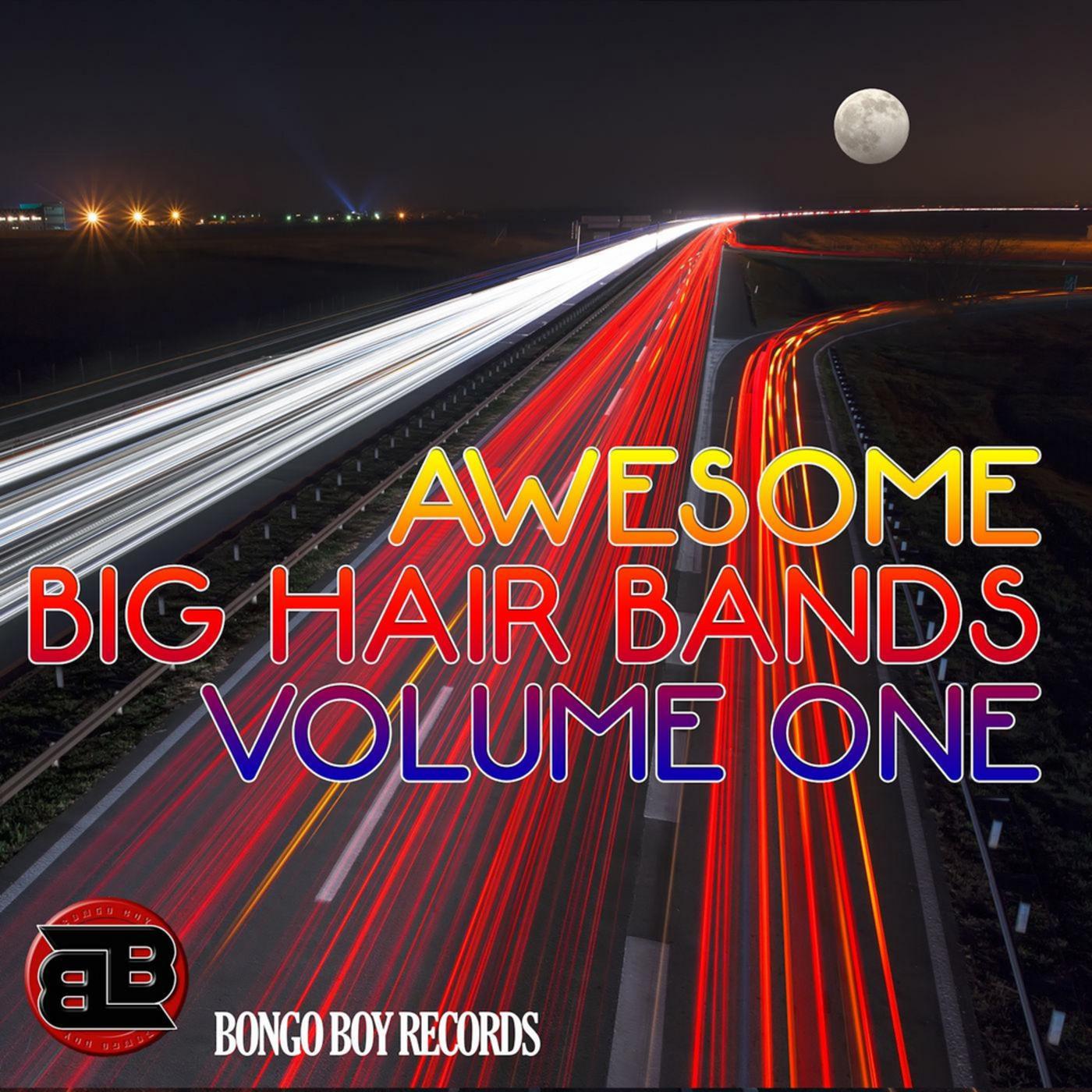 Awesome Big Hair Bands, Vol. One
