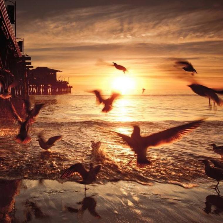 mi shi tao tuo ban zou