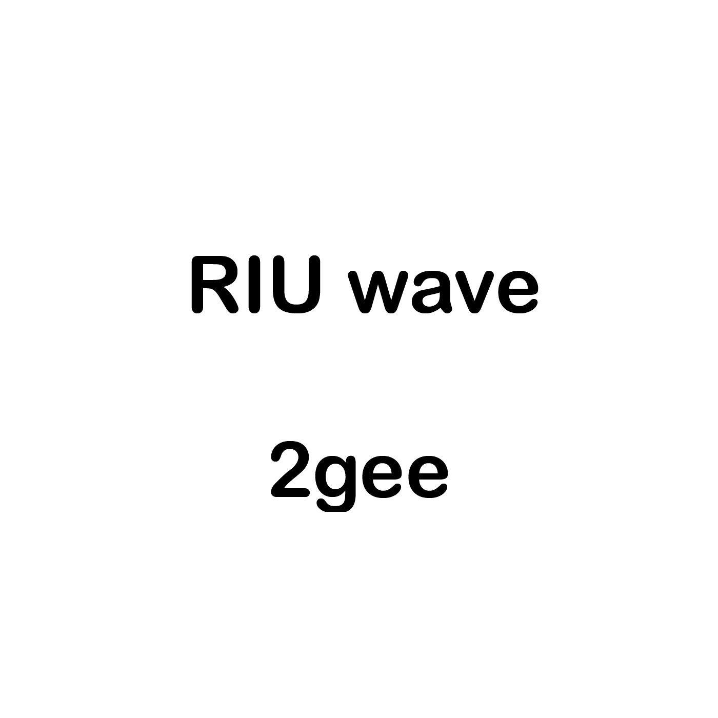 Riu Wave