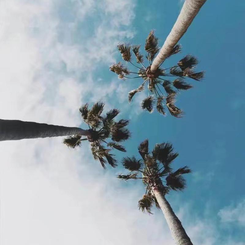 The belief of rebirth