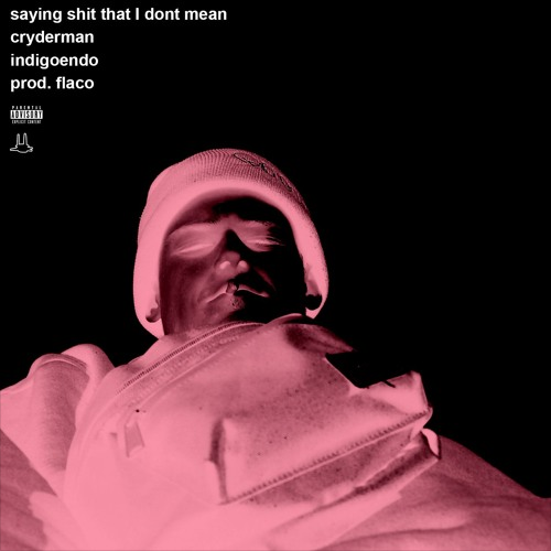 sayin **** that I dont mean