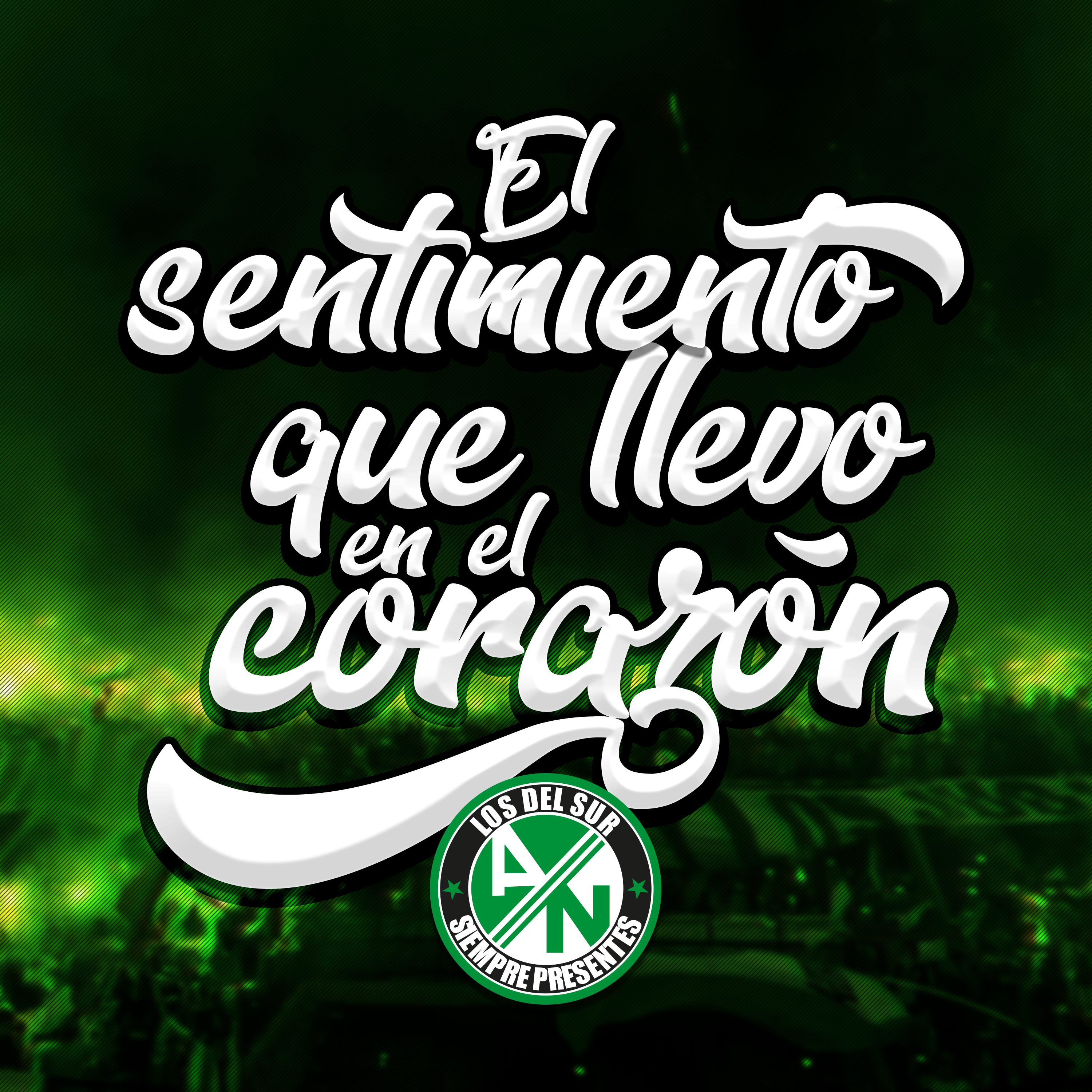 El Sentimiento Que LLevo En El Corazo n