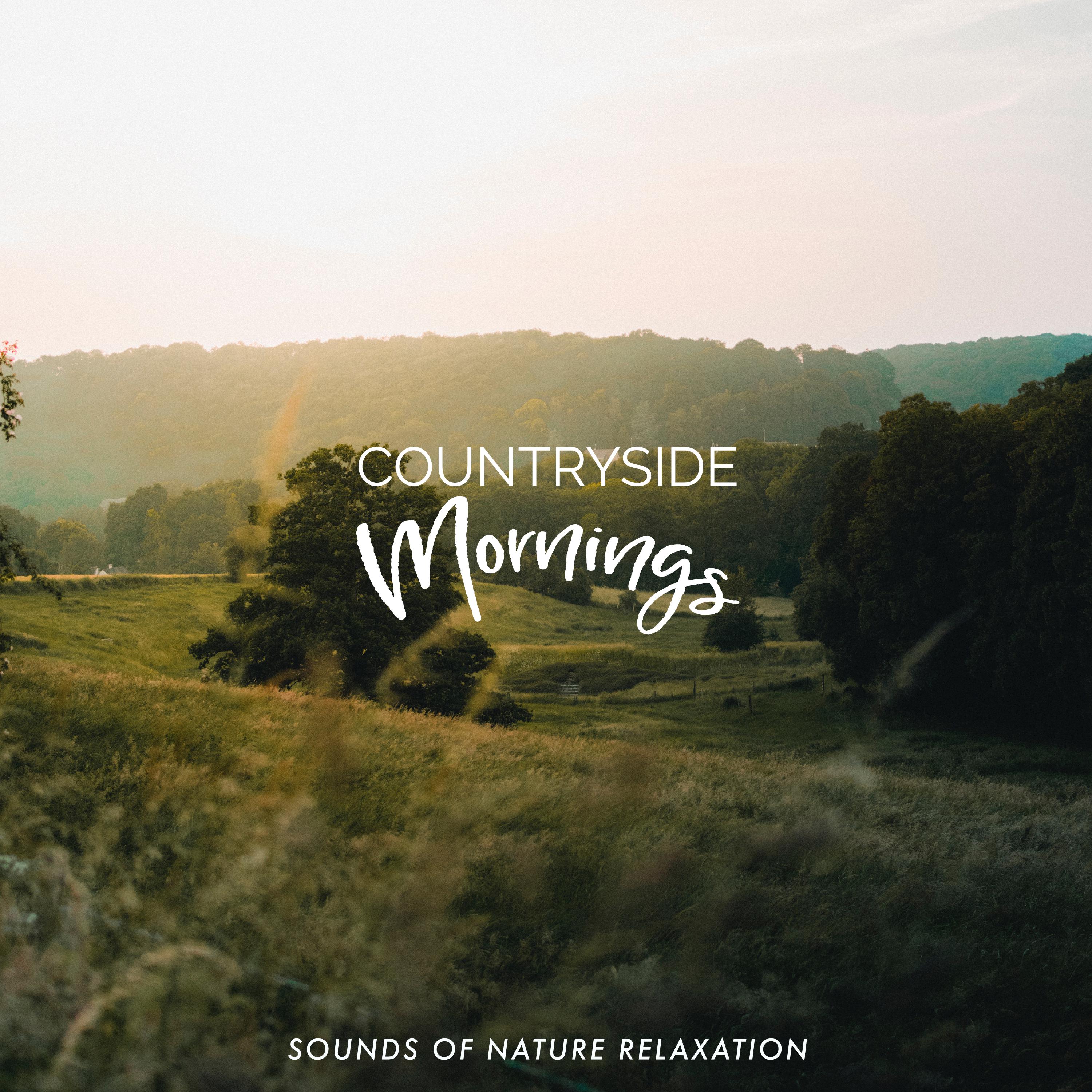 Countryside Mornings