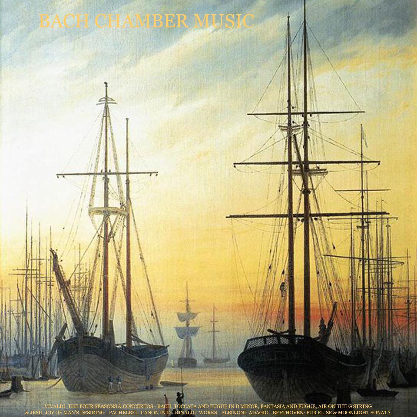 String Concerto in C Minor, No. 8, RV 127: II. Largo