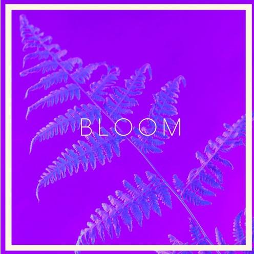 Bloom Audio
