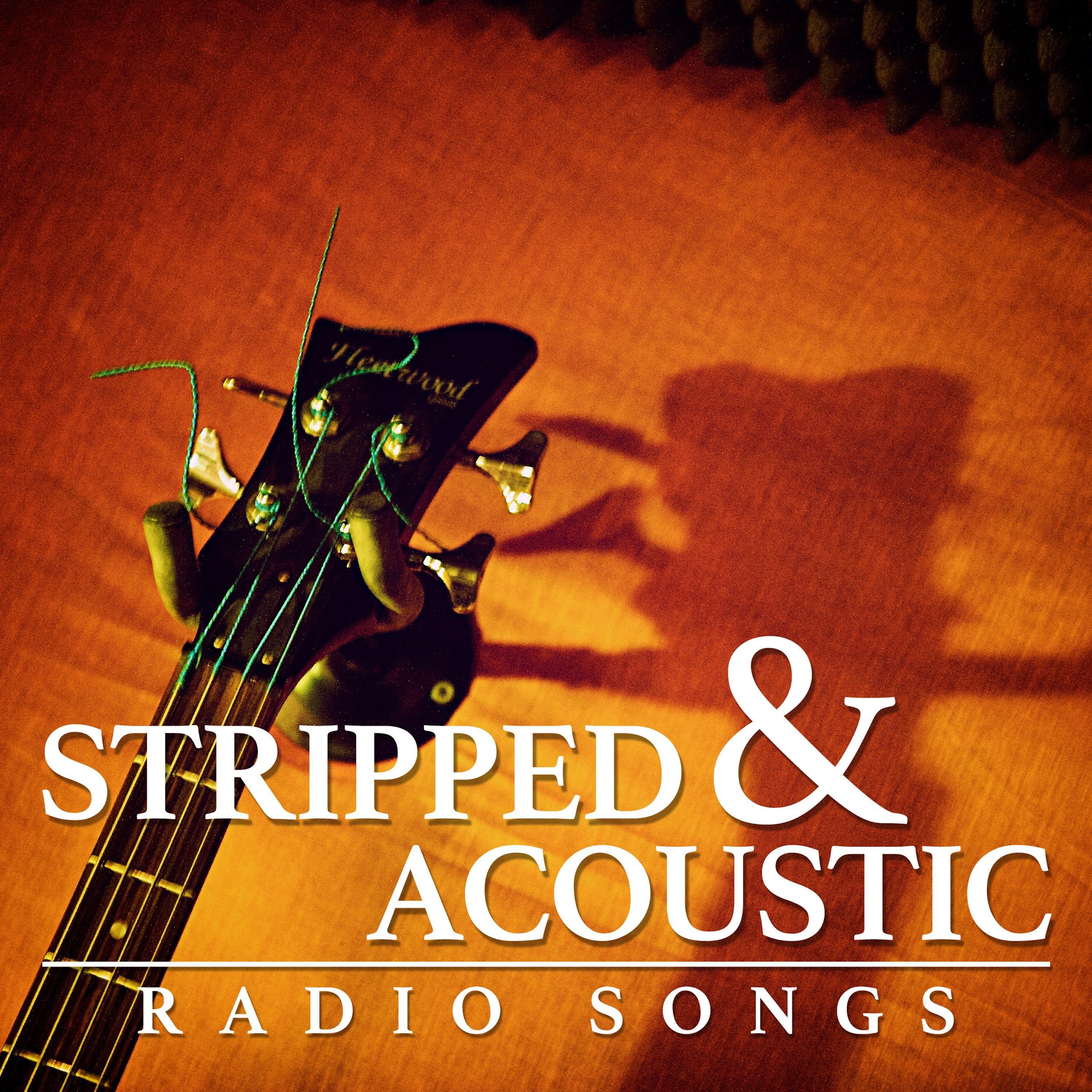 Strippped & Acoustic Radio Songs, Vol. 11