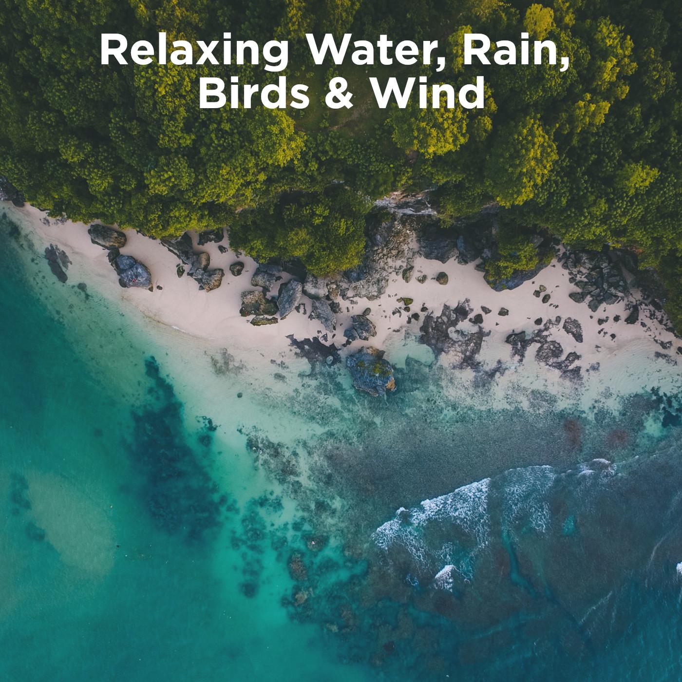 Relaxing Water, Rain, Birds & Wind