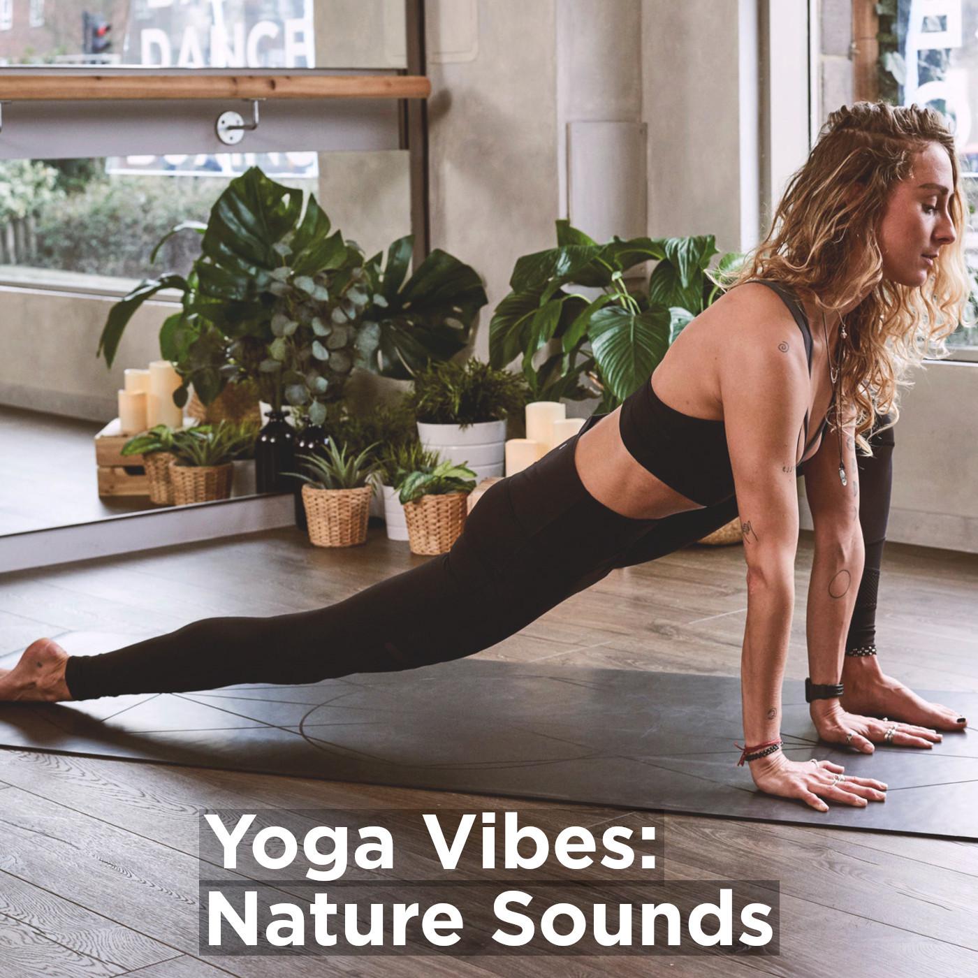 Yoga Vibes: Nature Sounds