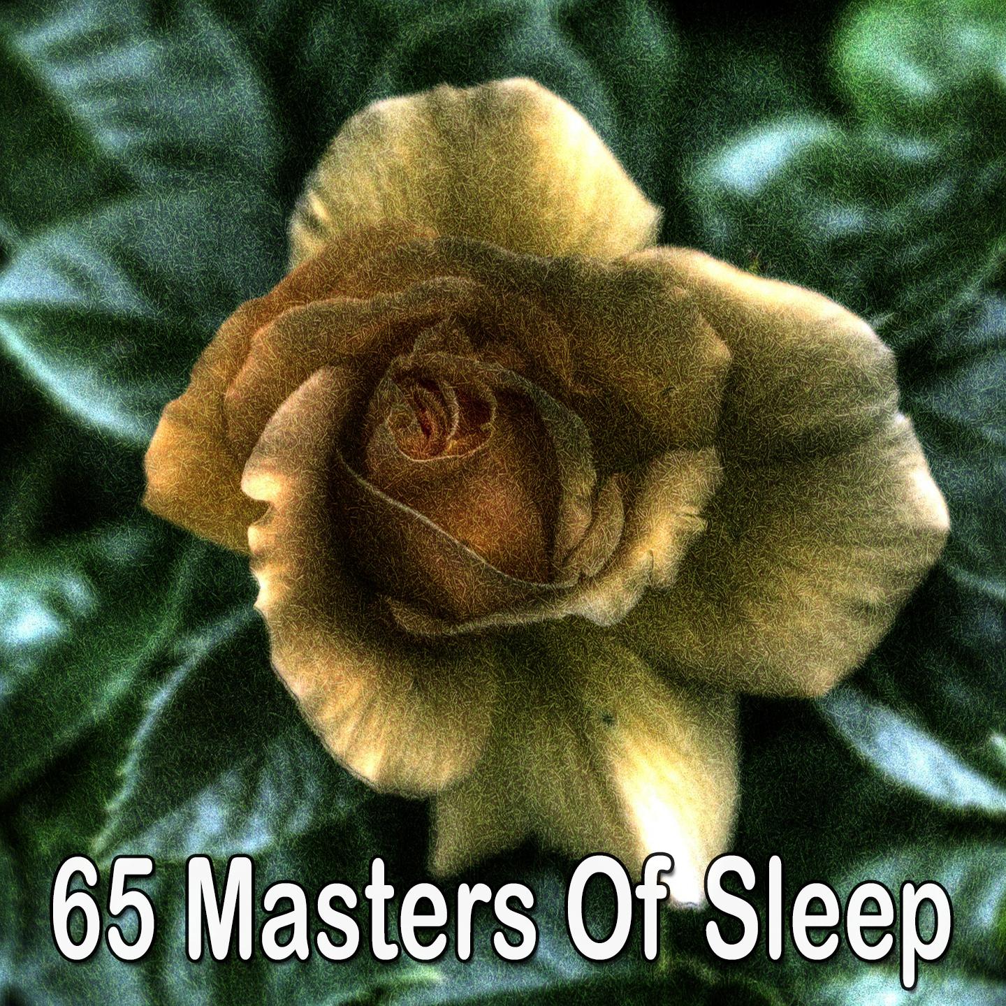 65 Masters of Sleep