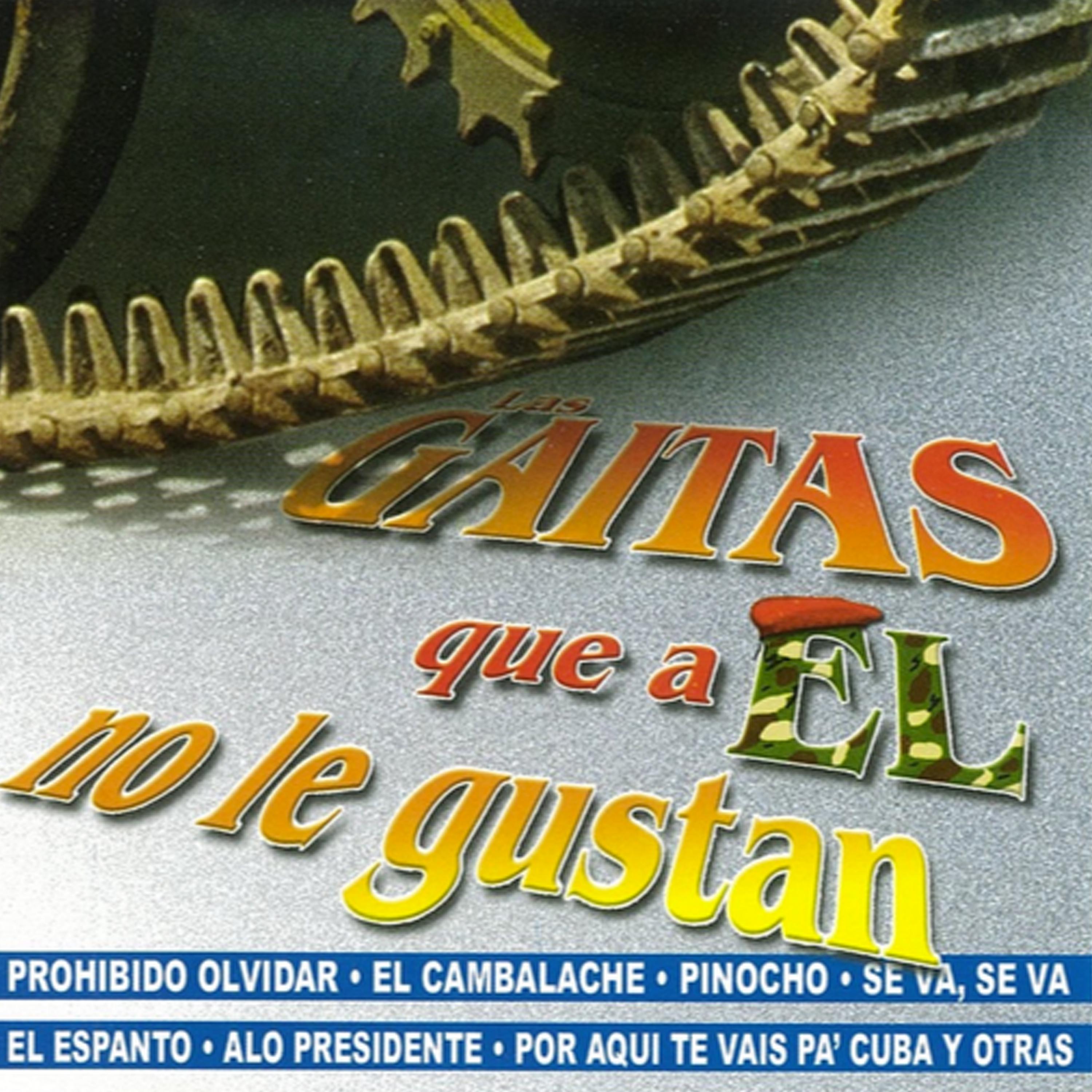 Las Gaitas Que a El No Le Gustan