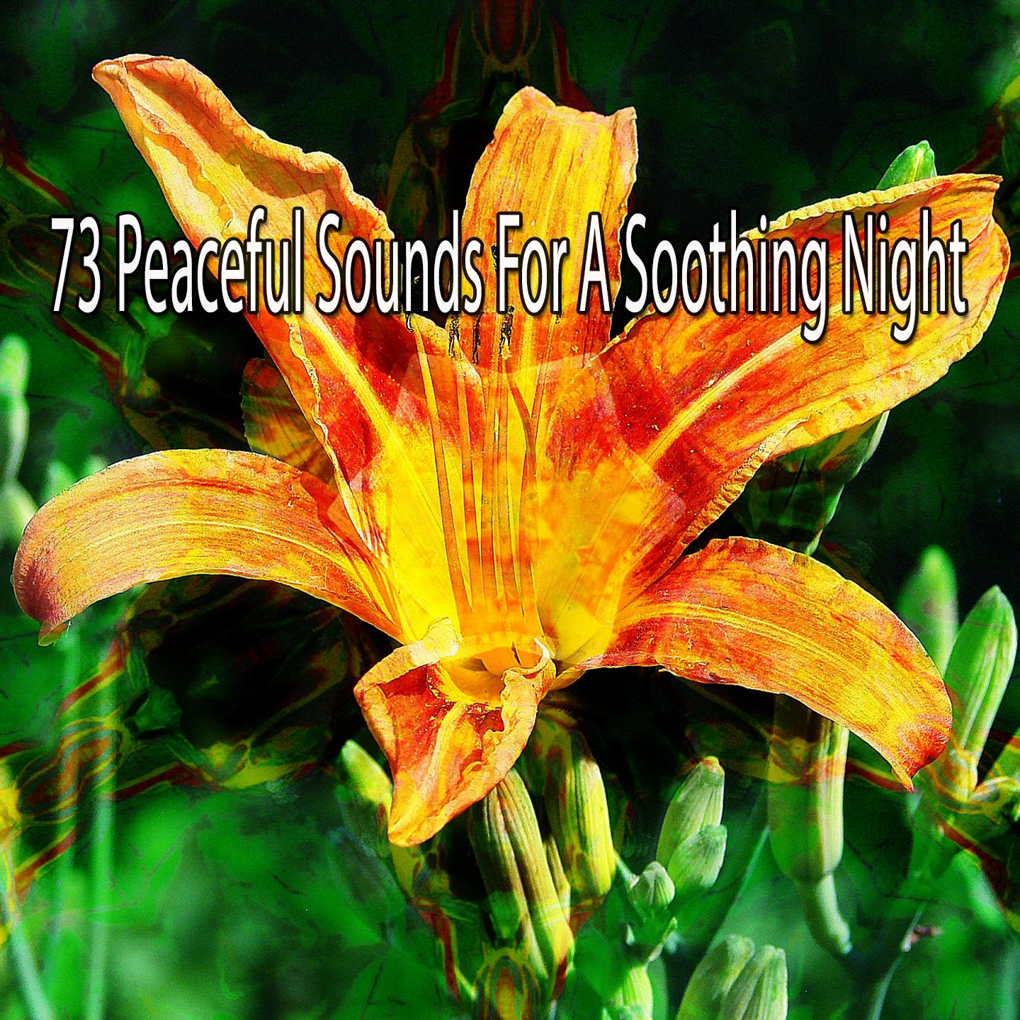73 Peaceful Sounds for a Soothing Night