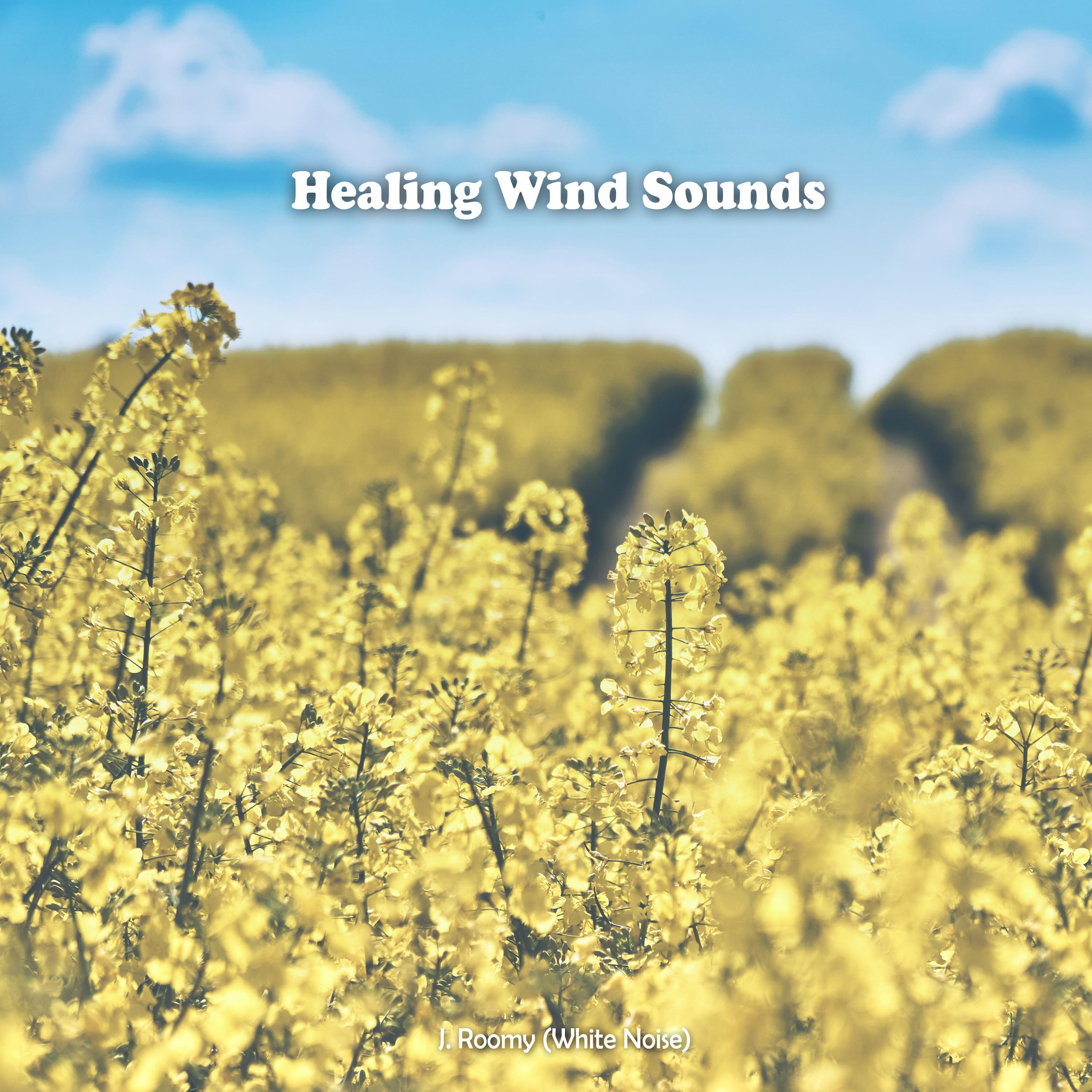 Healing Wind Sounds