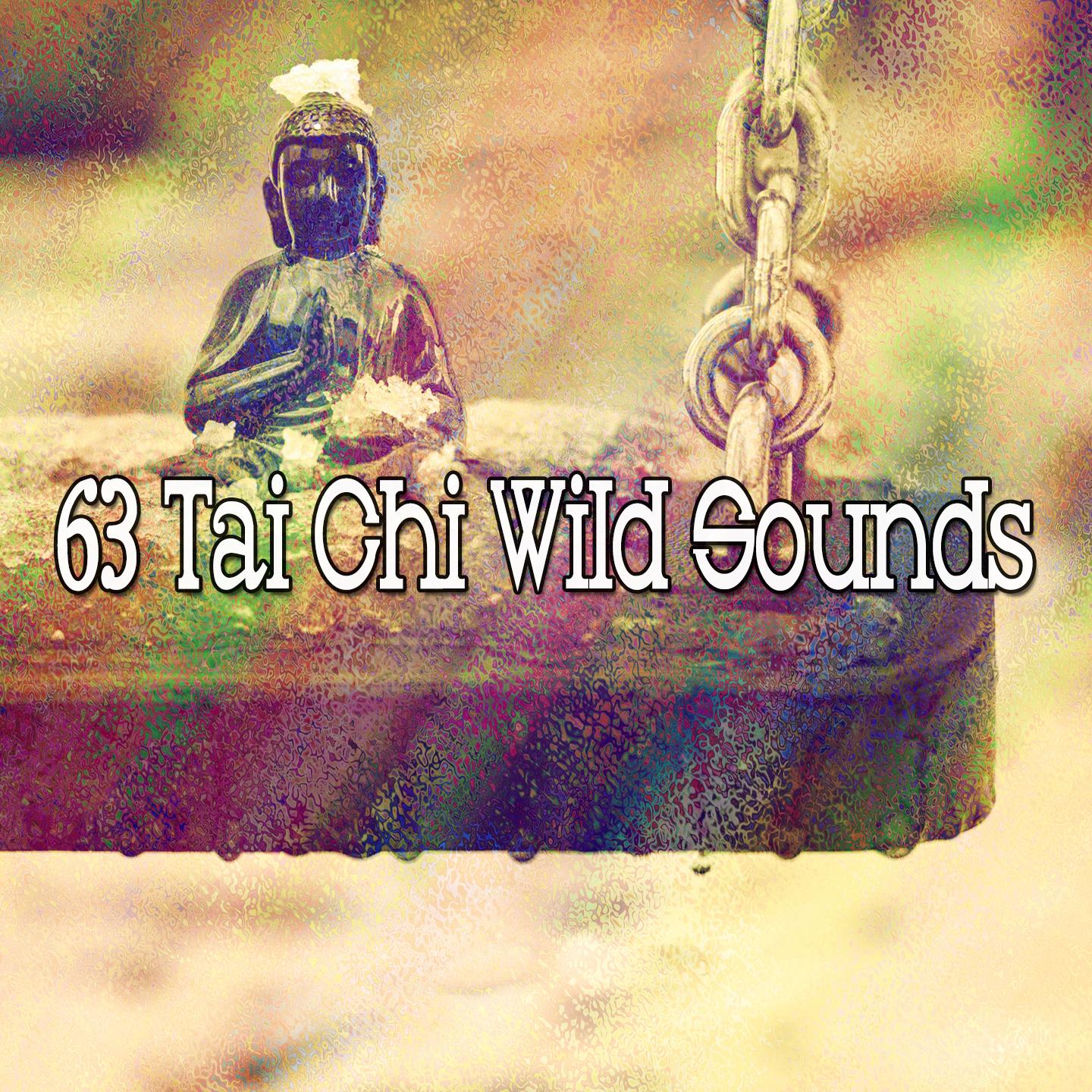 63 Tai Chi Wild Sounds