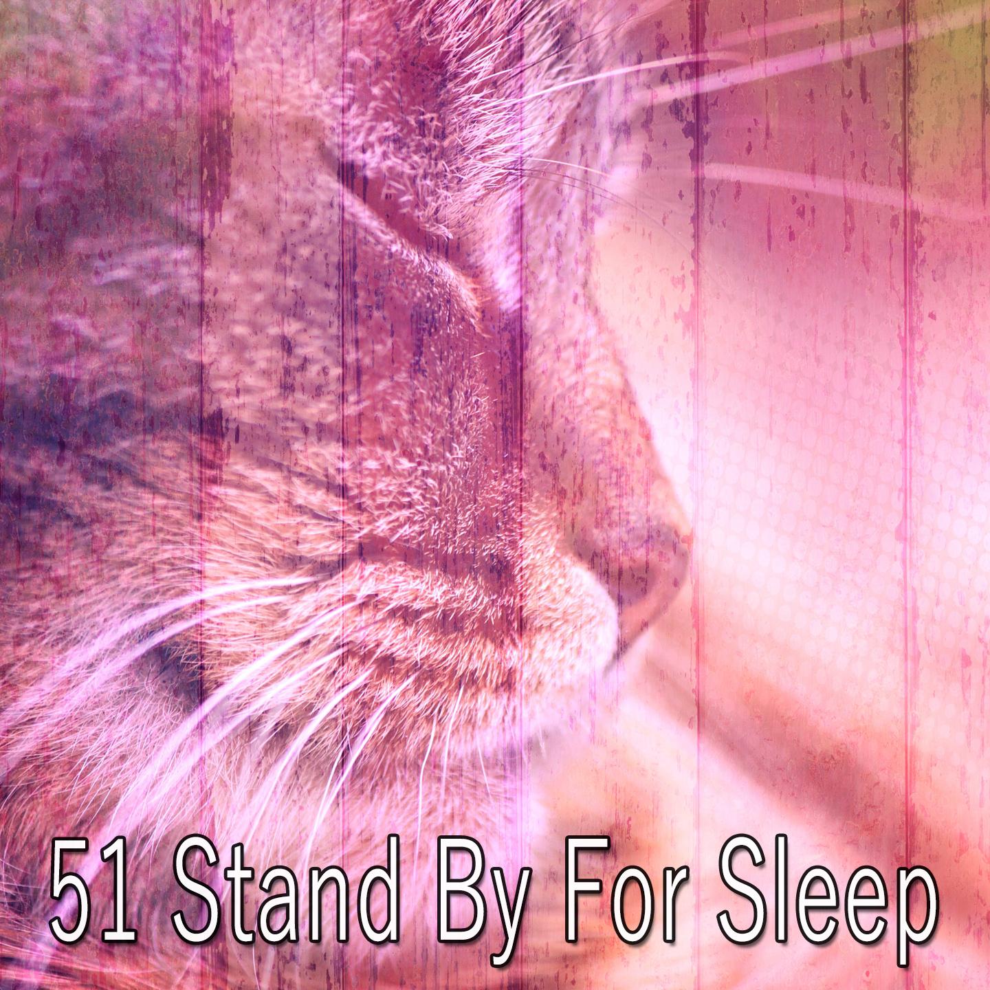 51 Stand By For Sleep