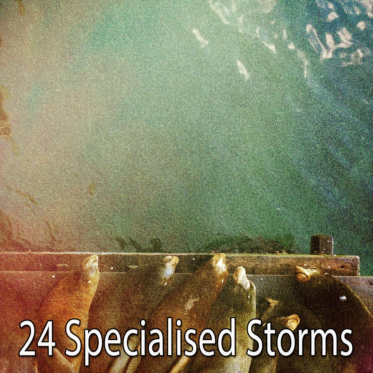 24 Specialised Storms