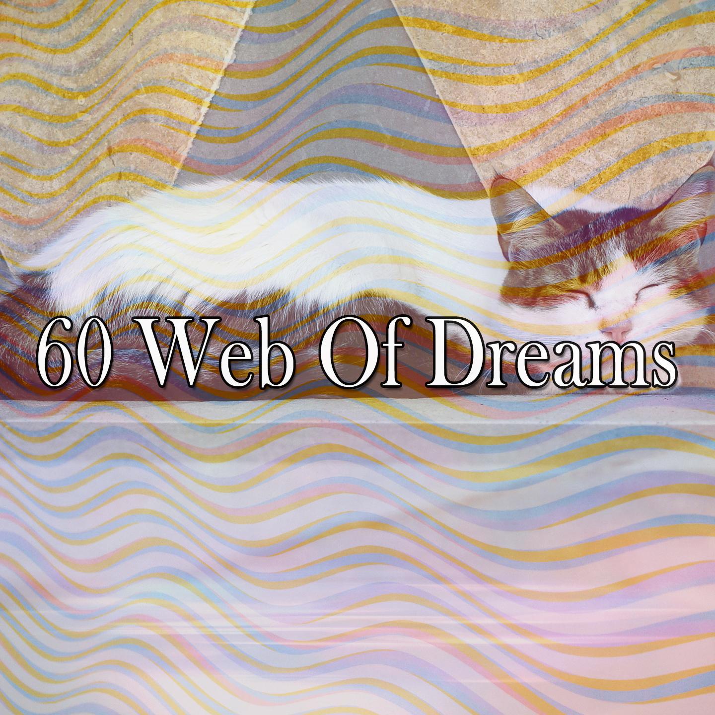 60 Web of Dreams