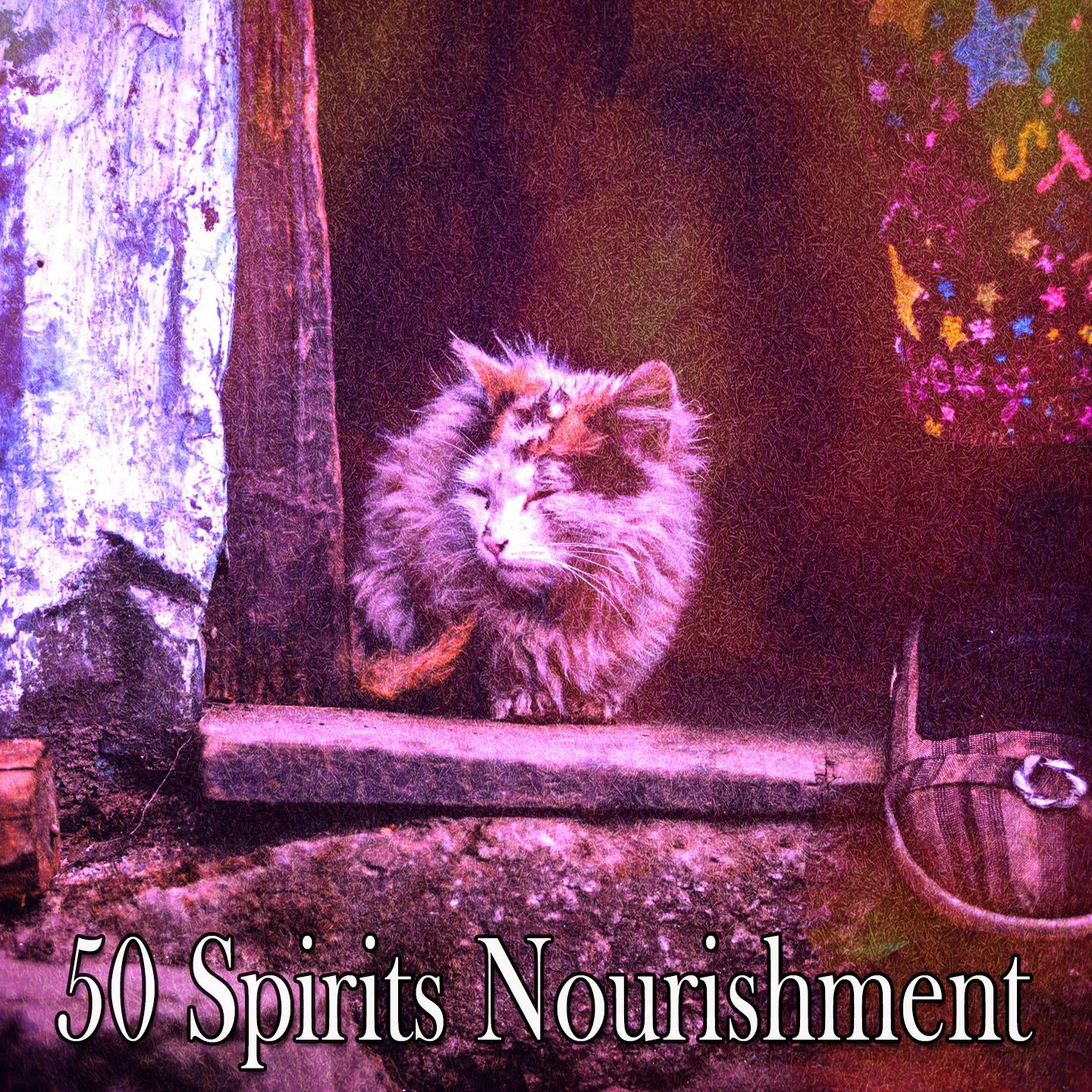 50 Spirits Nourishment