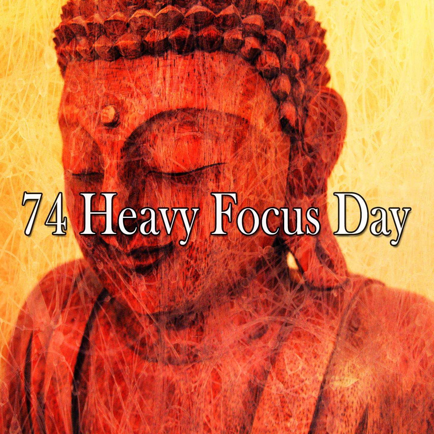 74 Heavy Focus Day