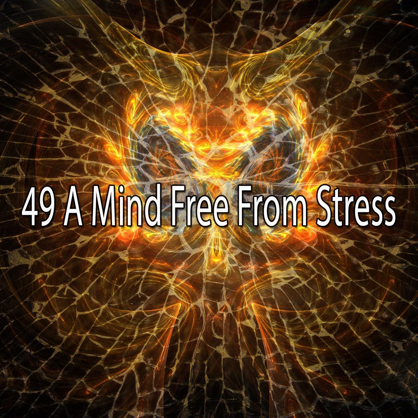 49 A Mind Free from Stress