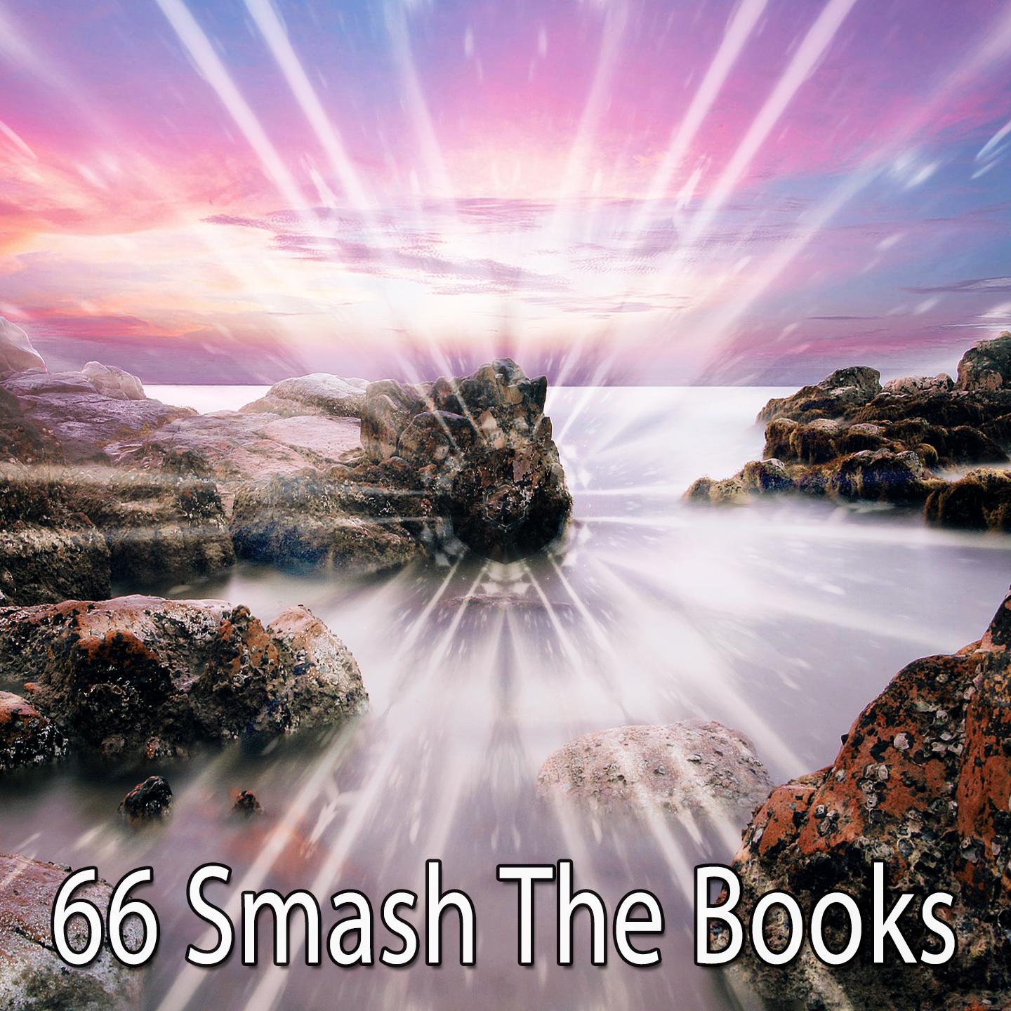 66 Smash the Books