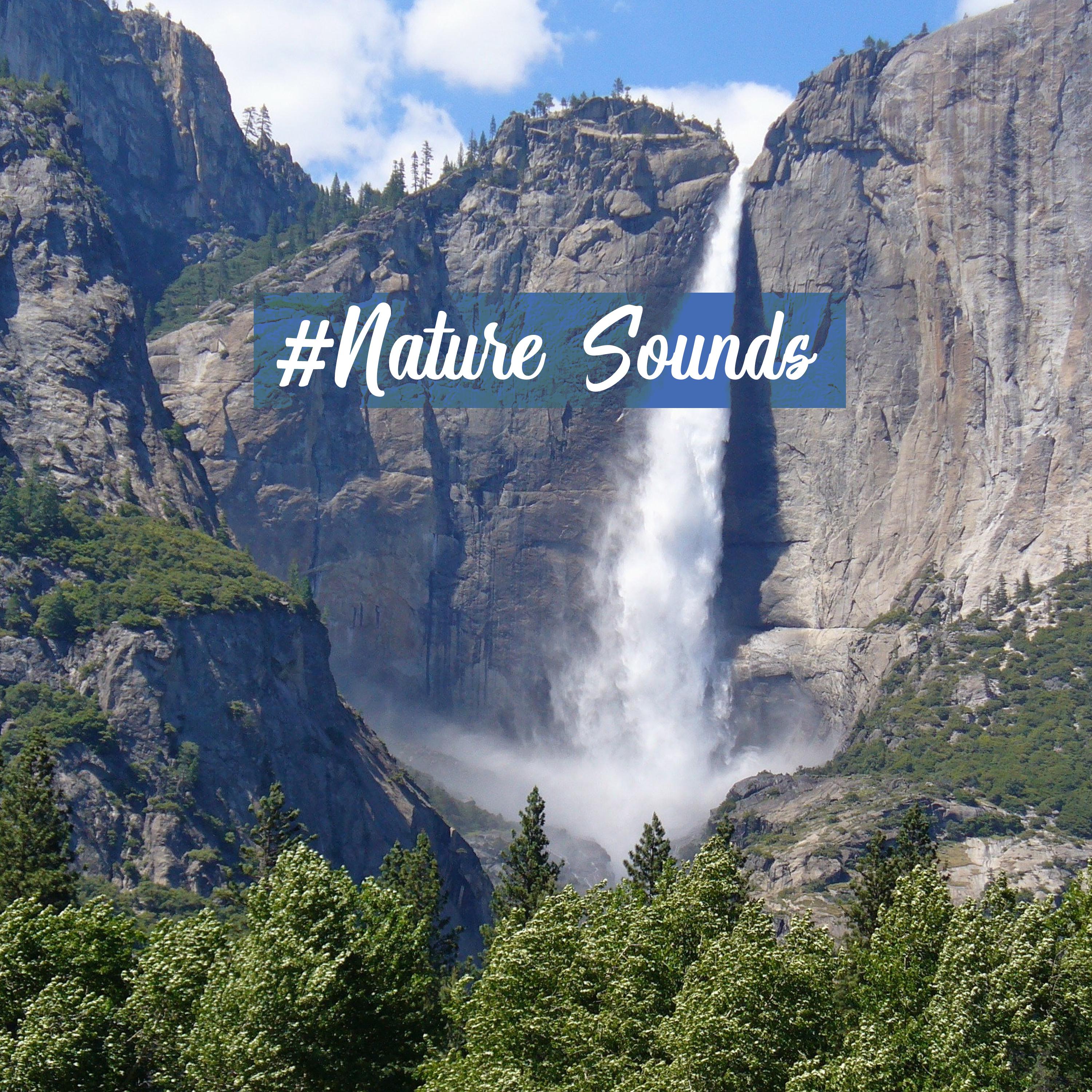Nature Sounds  Pure Relaxation, Soothing Sounds for Massage, Sleep, Deep Meditation, Yoga Training, Zen