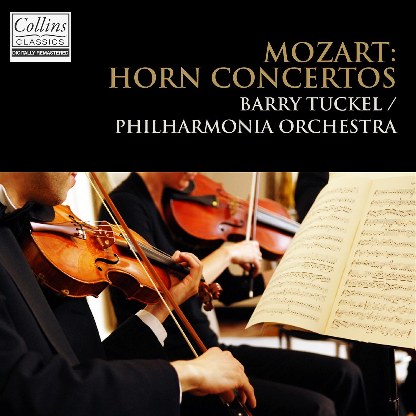Horn Concerto No. 3 in E-Flat Major, K. 447: II. Romanze
